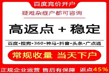 专业竞价SEM托管成功案例解析